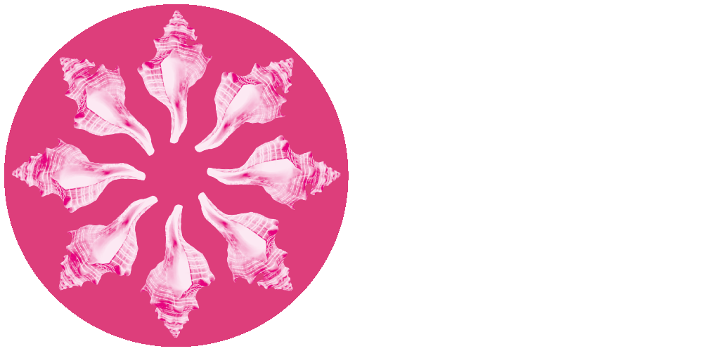DFS Plus Logo